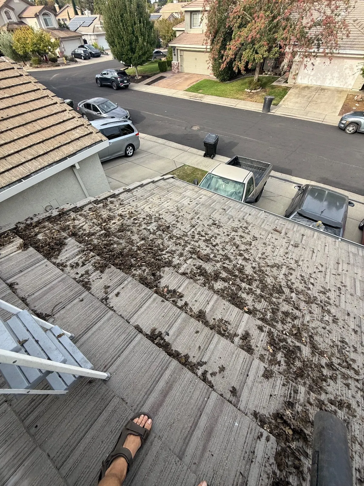 Before — Gutter Cleaning and Maintenance in Roseville, CA — October 2026