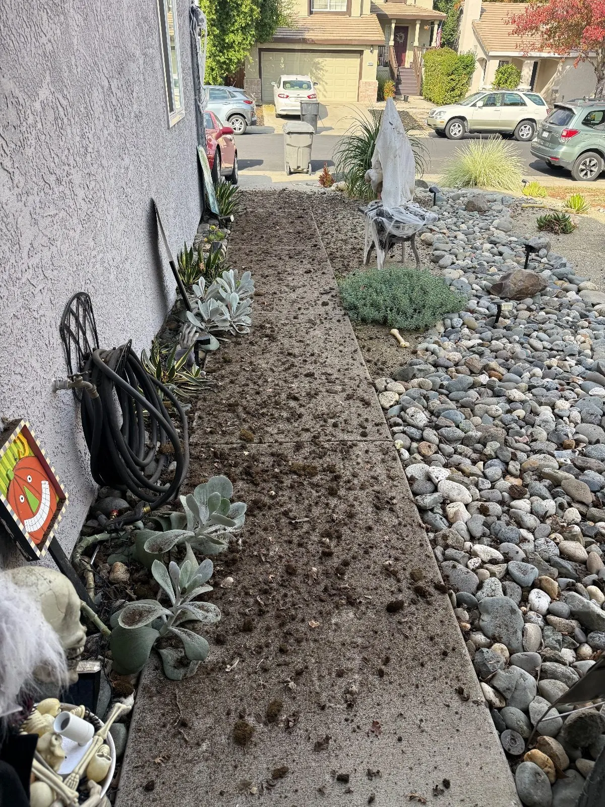 Before — Gutter Cleaning and Maintenance in Roseville, CA — October 2026