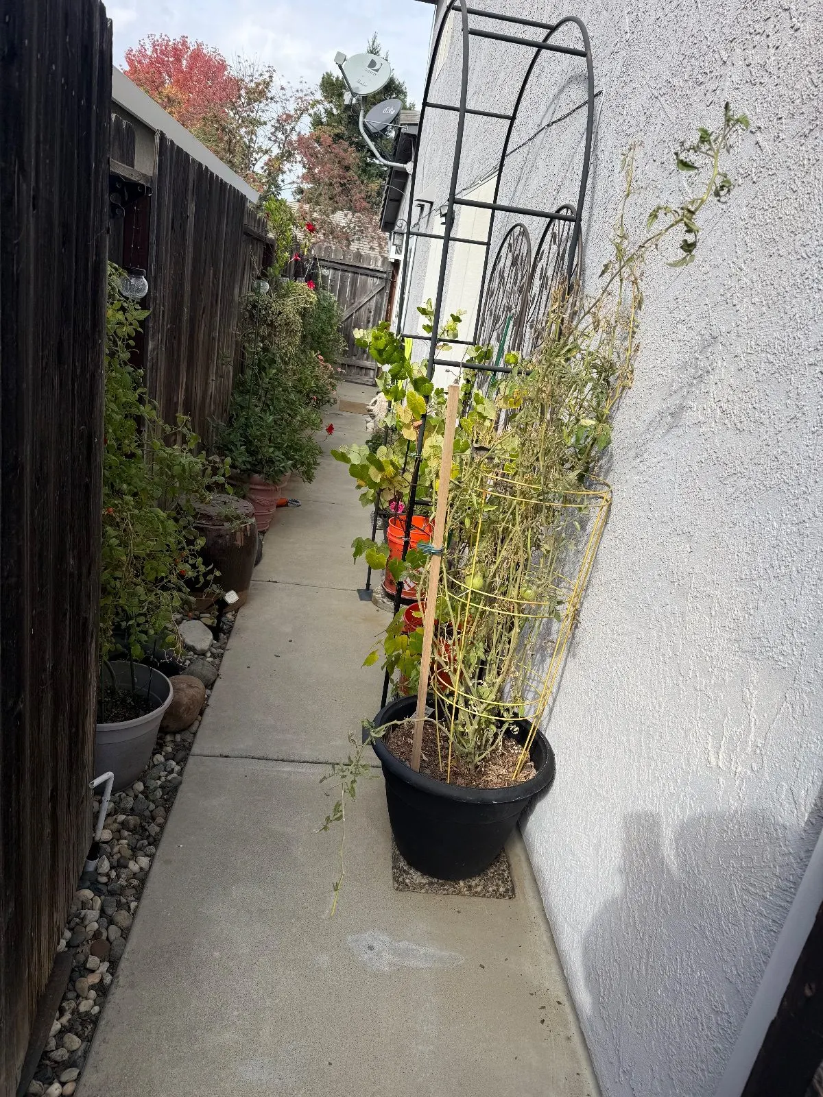 After — Gutter Cleaning and Maintenance in Roseville, CA — October 2026