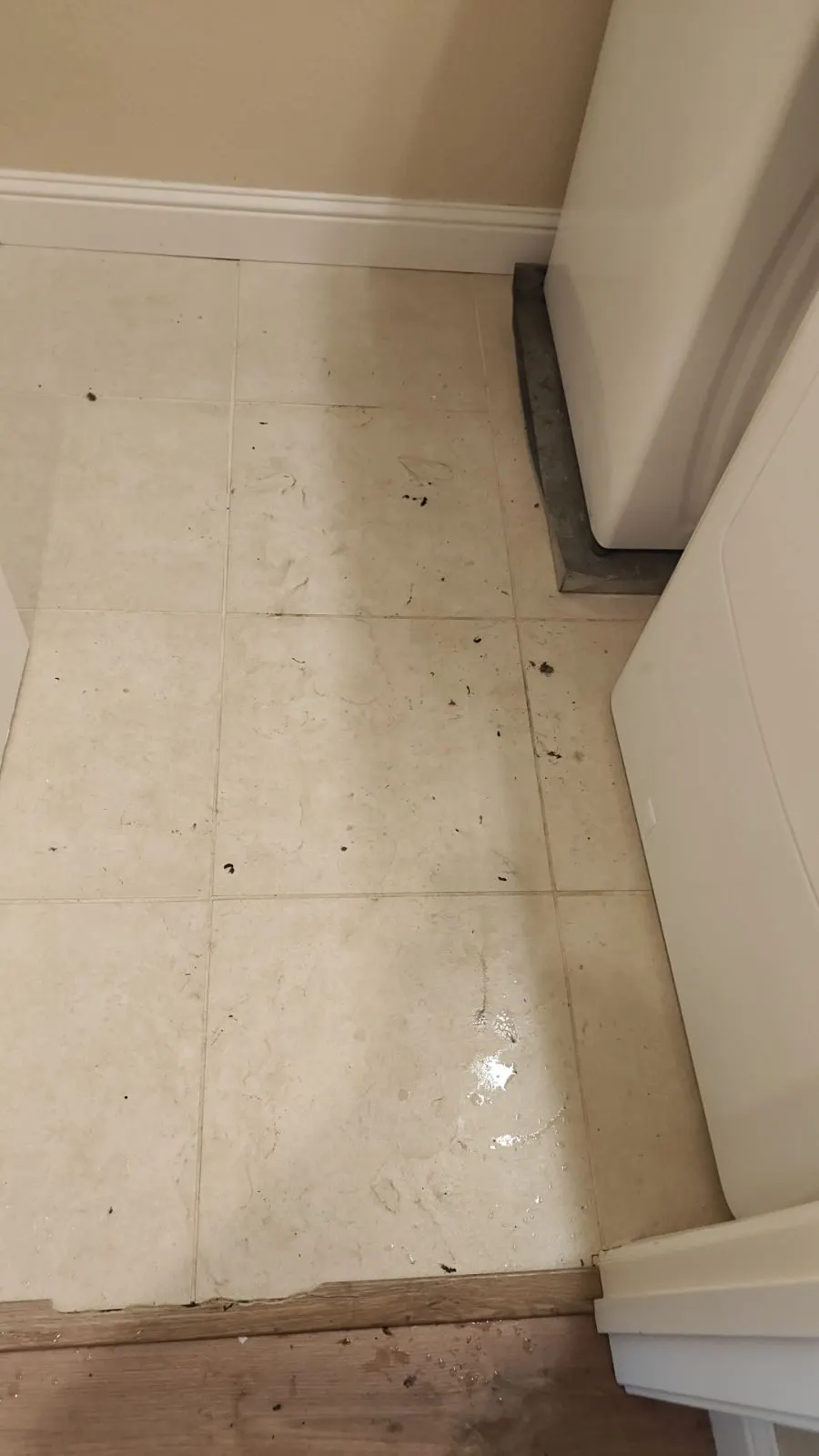 Before — House Cleaning in Roseville, CA — July 2026