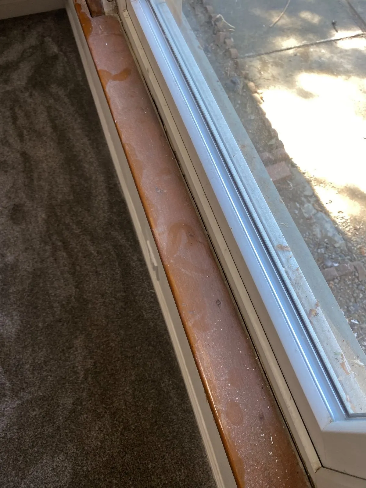 Before — House Cleaning in Davis, CA — July 2026