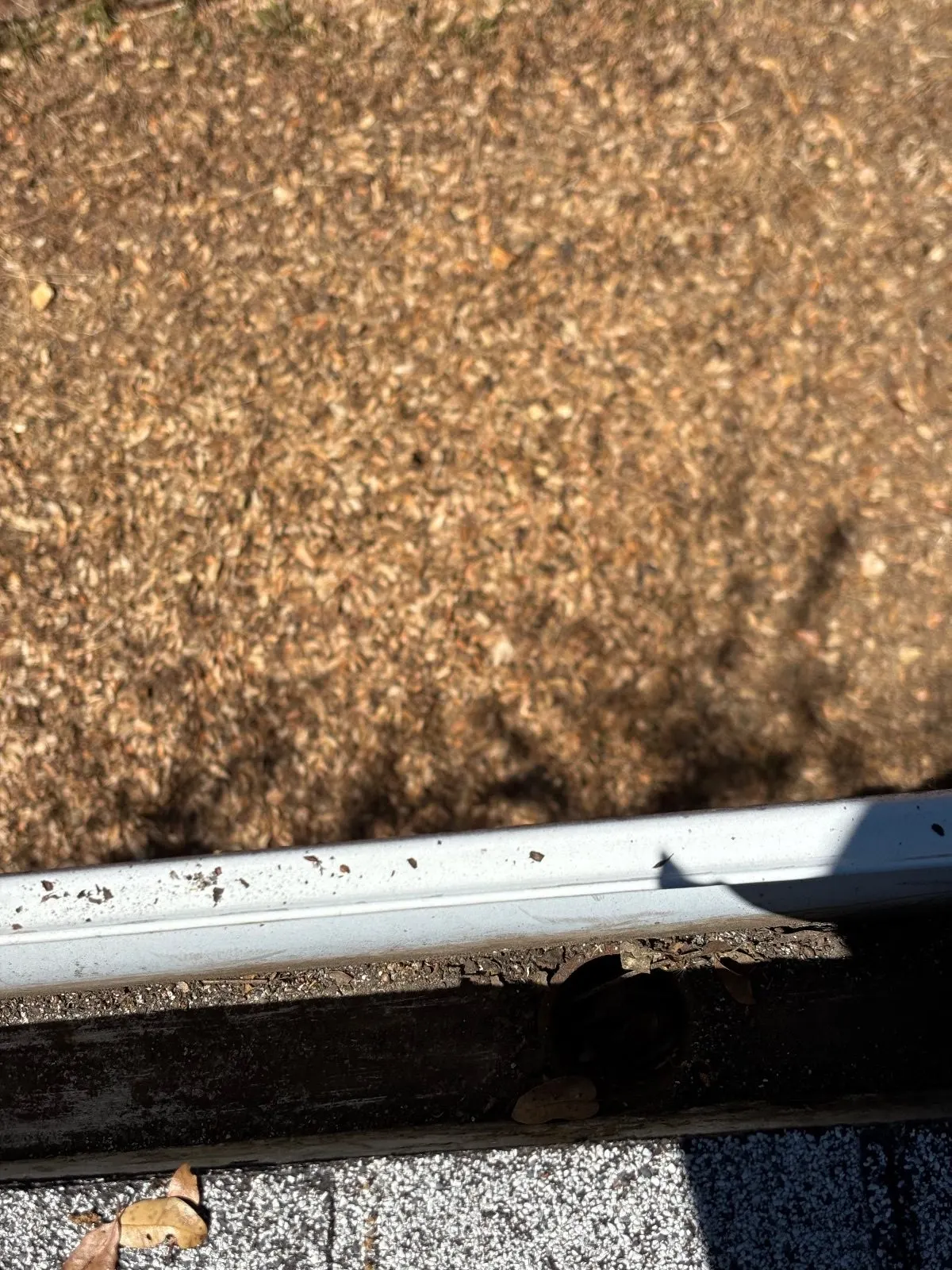 Before — Gutter Cleaning and Maintenance in Shingle Springs, CA — July 2026
