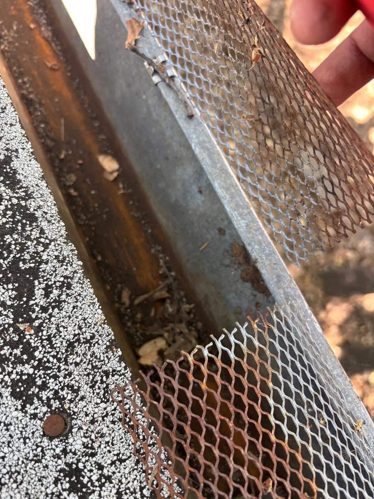 After — Gutter Cleaning and Maintenance in Shingle Springs, CA — July 2026
