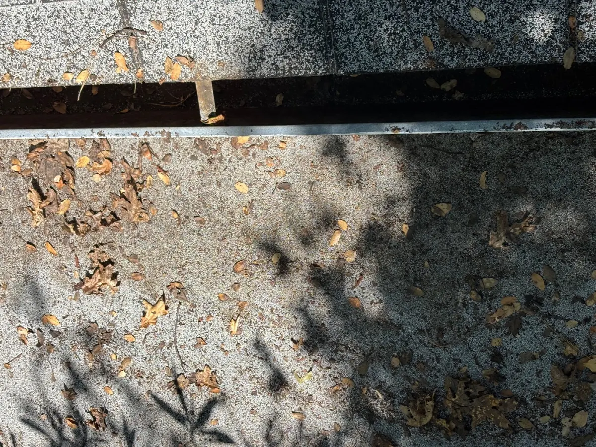 After — Gutter Cleaning and Maintenance in Shingle Springs, CA — July 2026