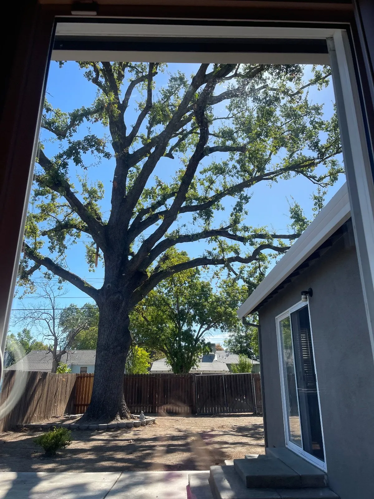 After — House Cleaning in Sacramento, CA — July 2026