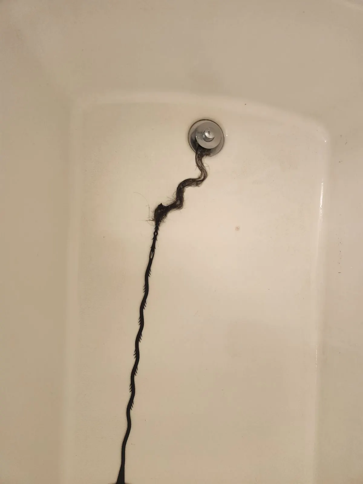 Before — House Cleaning in Davis, CA — August 2026