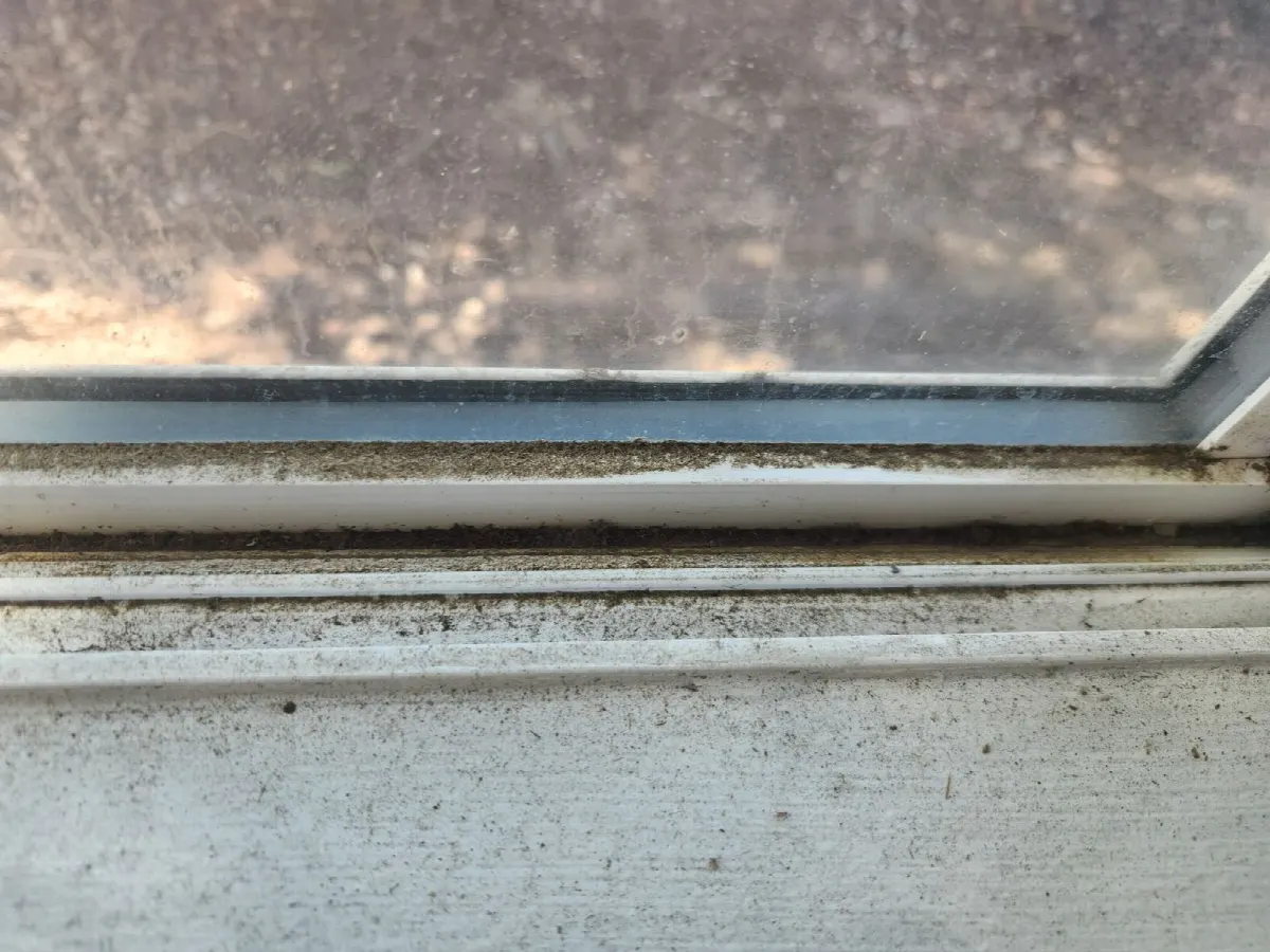 Before — House Cleaning in Davis, CA — August 2026