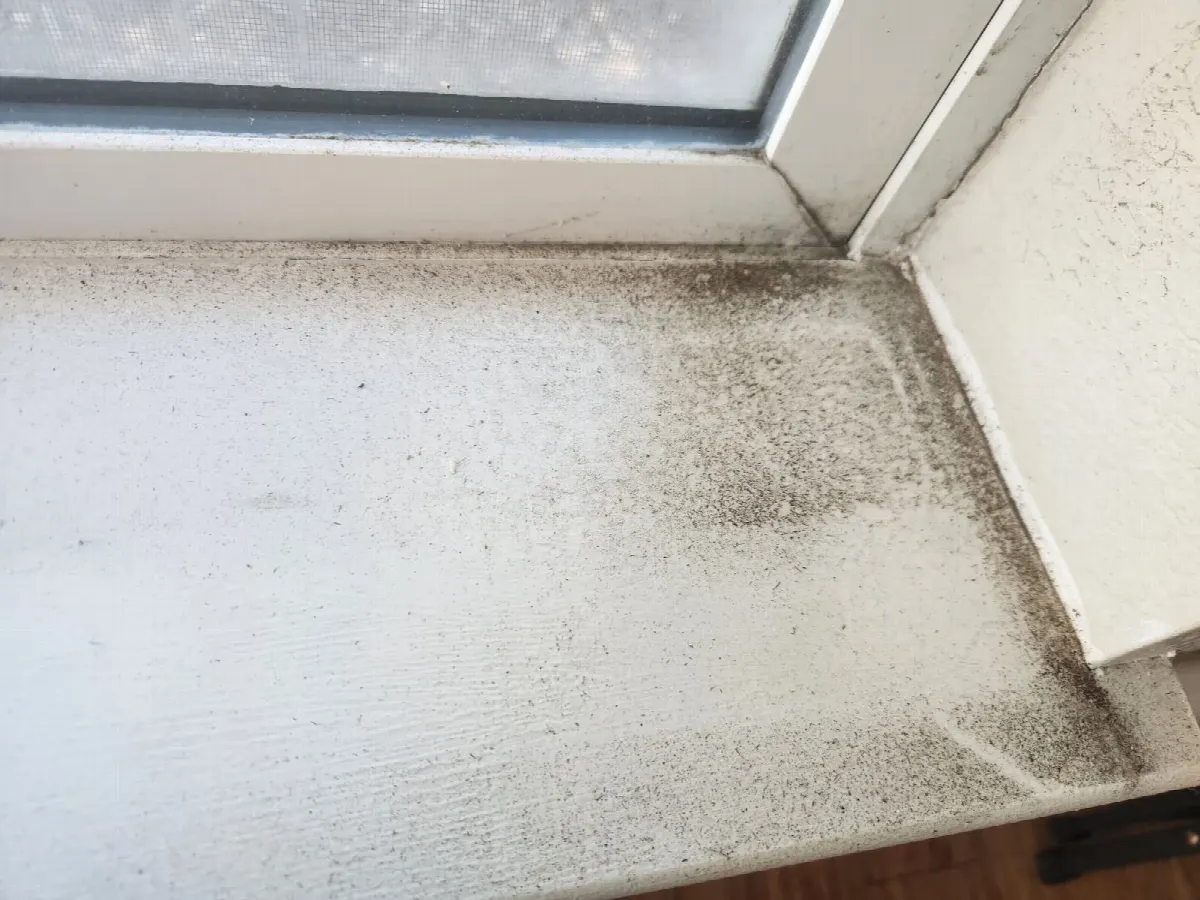 Before — House Cleaning in Davis, CA — August 2026