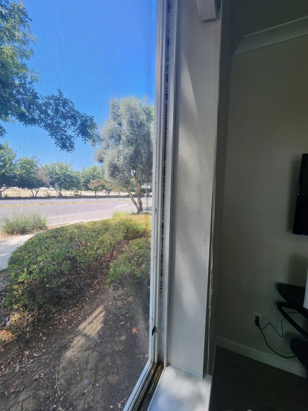 Before — House Cleaning in Davis, CA — August 2026