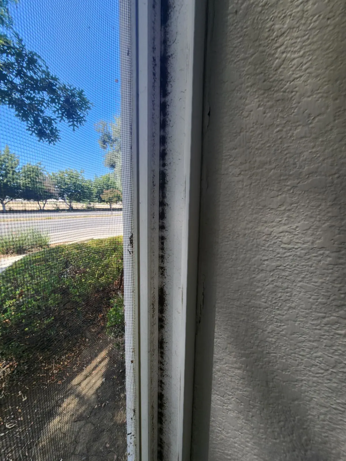 Before — House Cleaning in Davis, CA — August 2026
