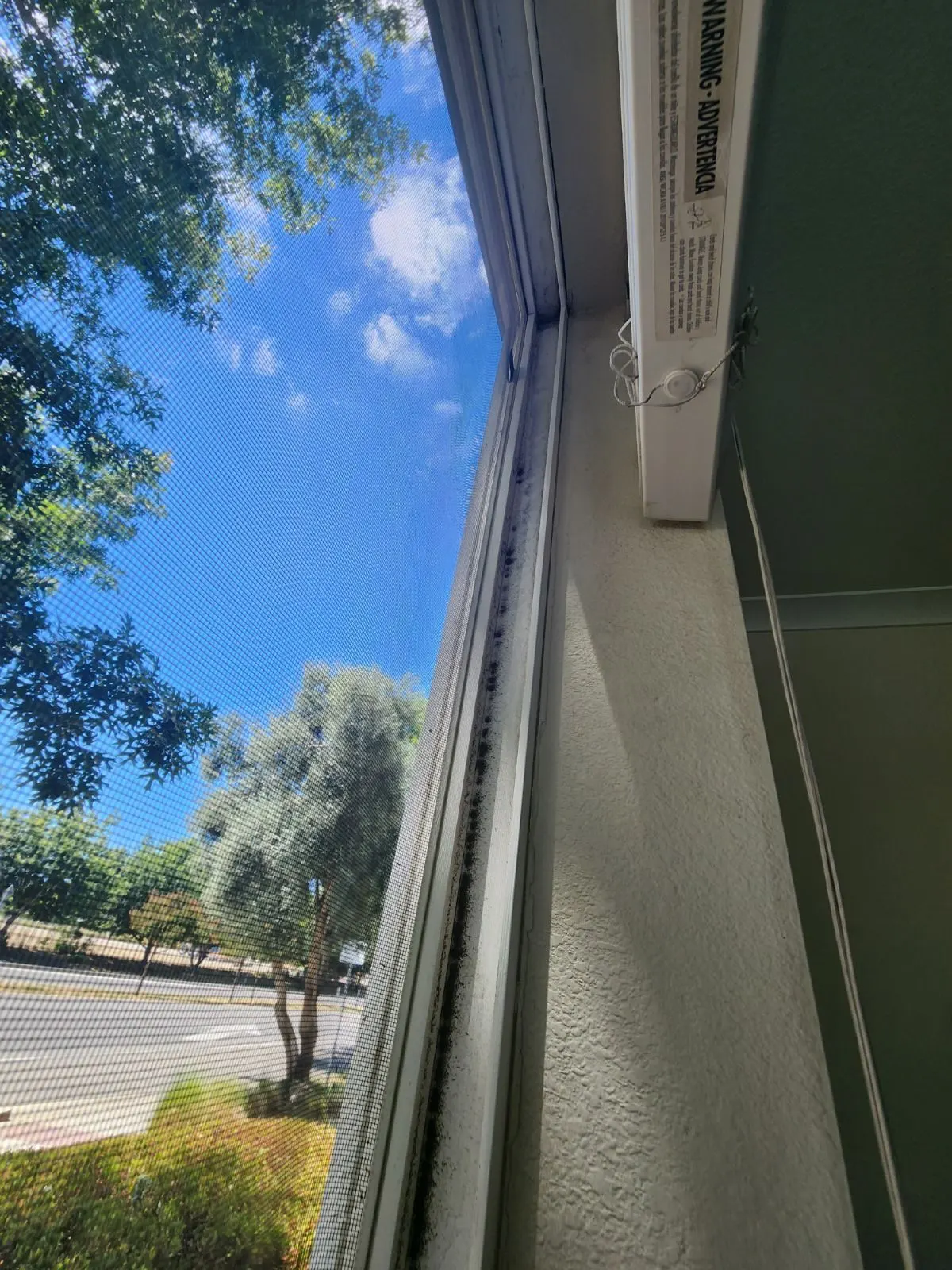 Before — House Cleaning in Davis, CA — August 2026