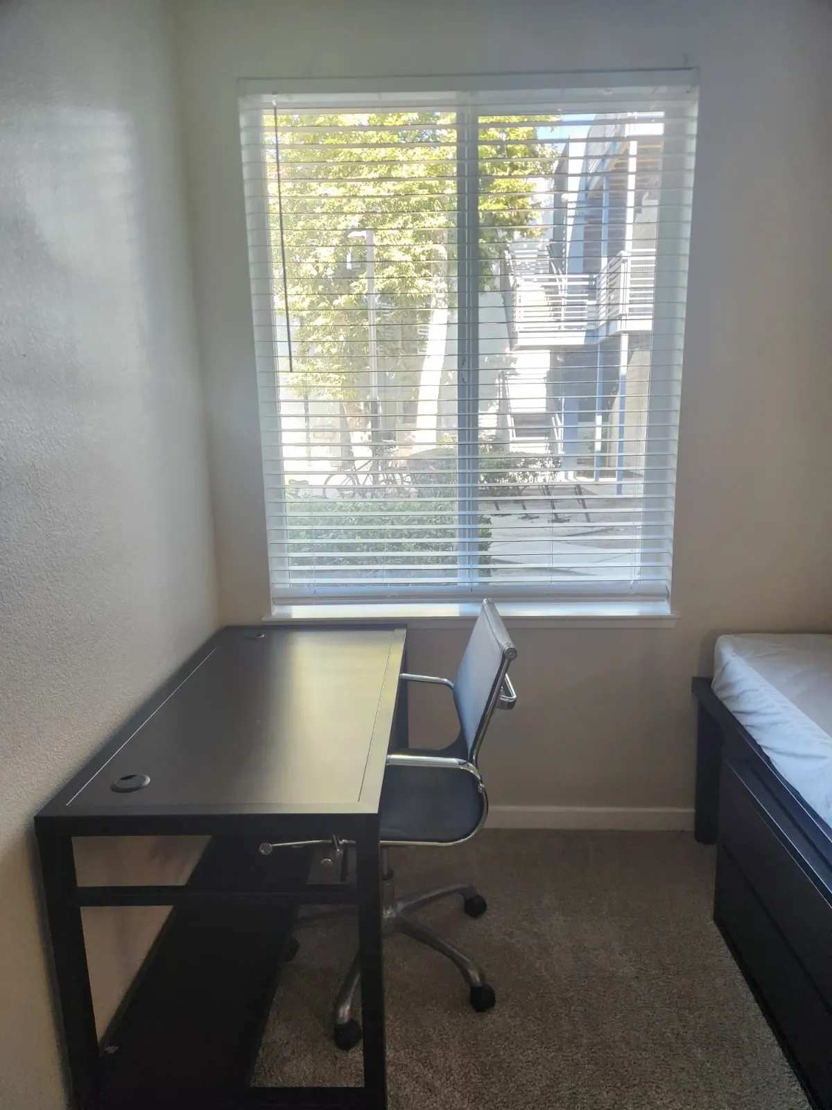 After — House Cleaning in Davis, CA — August 2026