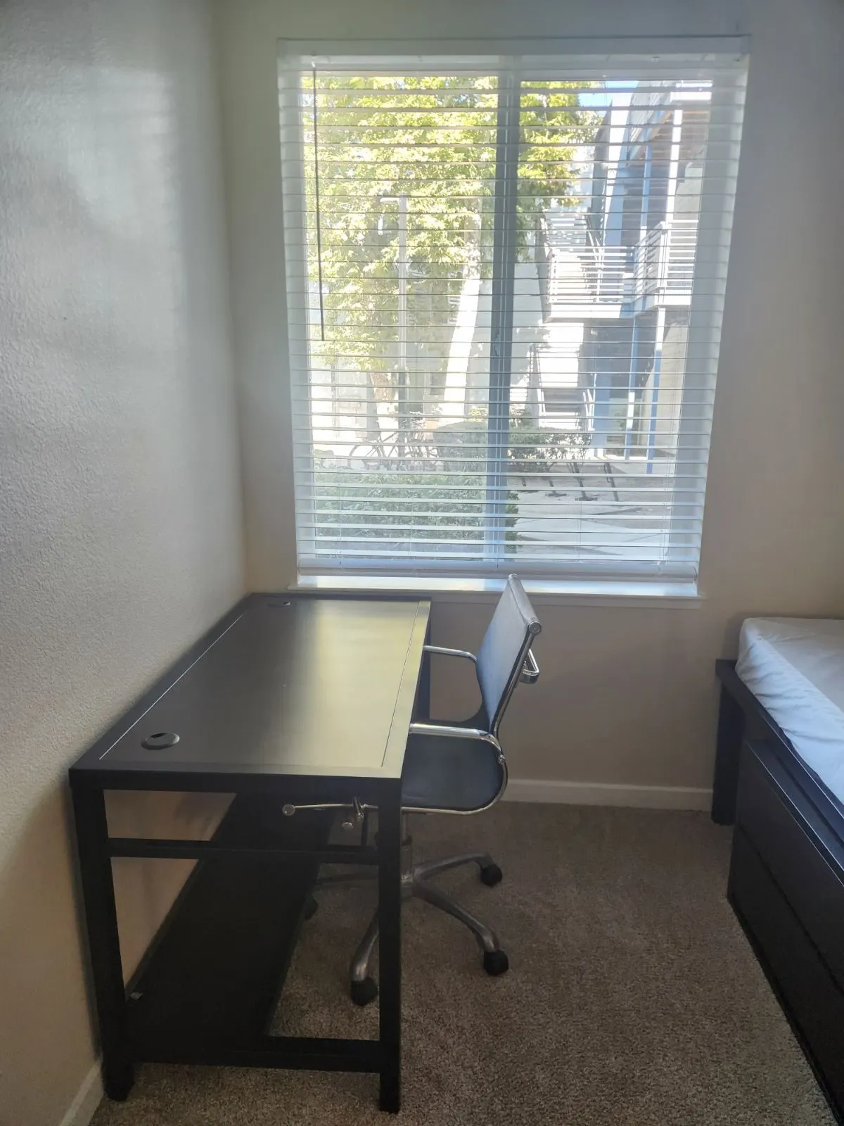 After — House Cleaning in Davis, CA — August 2026