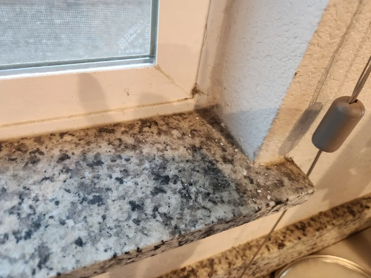 Before — House Cleaning in Woodland, CA — August 2026