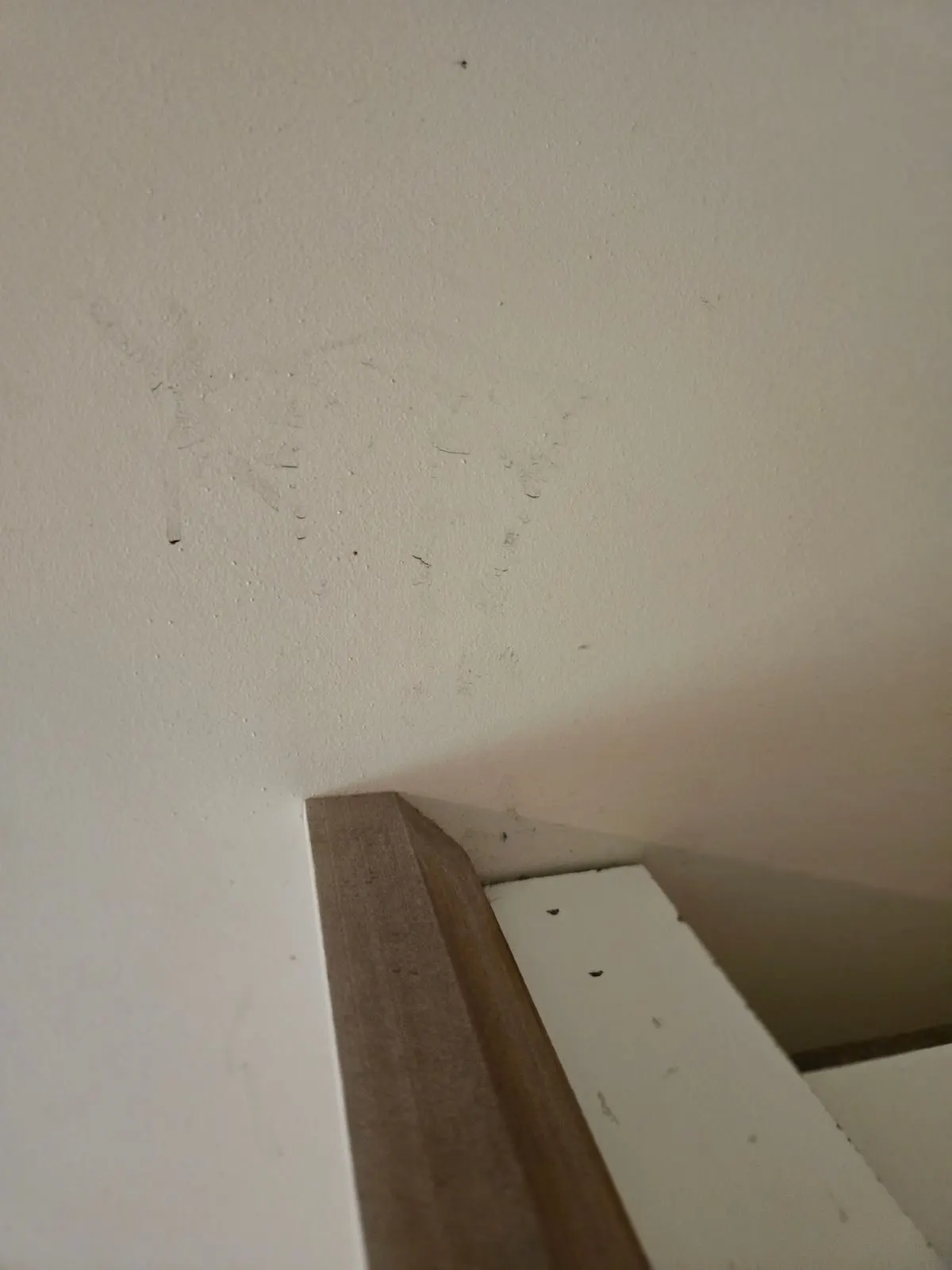 Before — House Cleaning in Sacramento, CA — August 2026