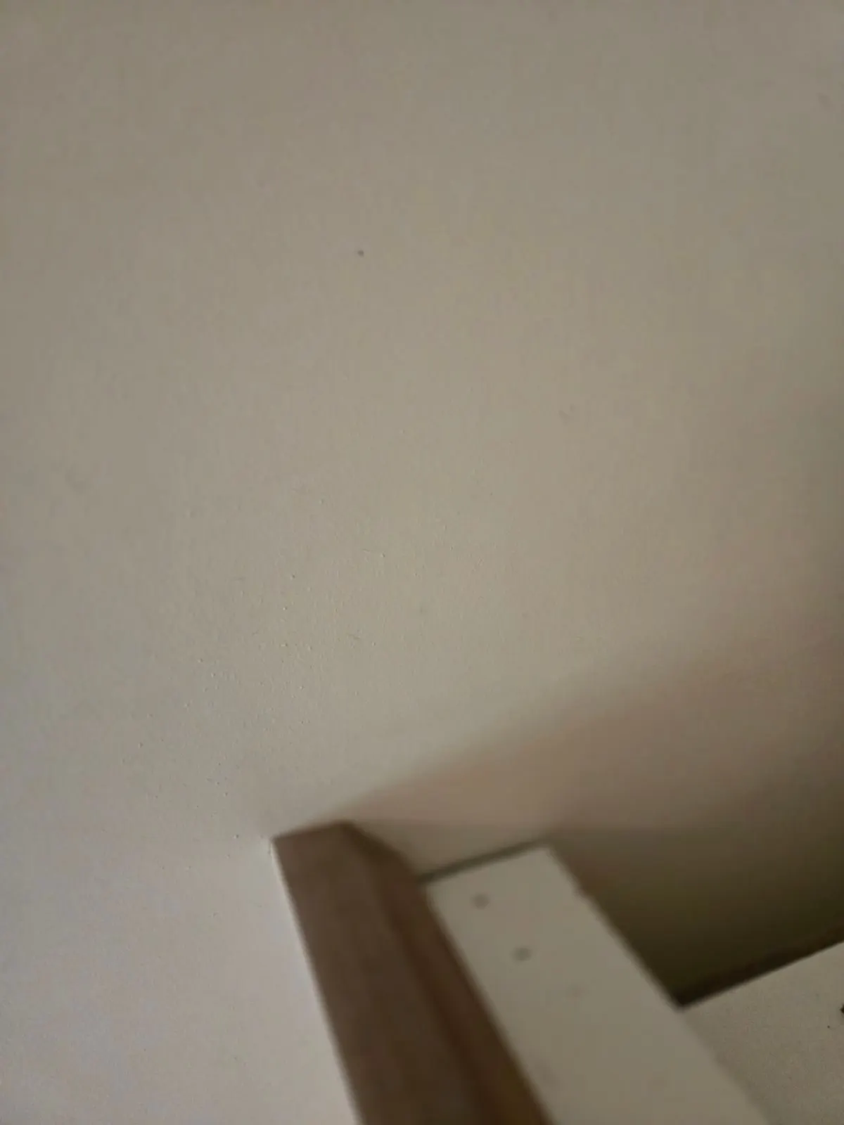 After — House Cleaning in Sacramento, CA — August 2026
