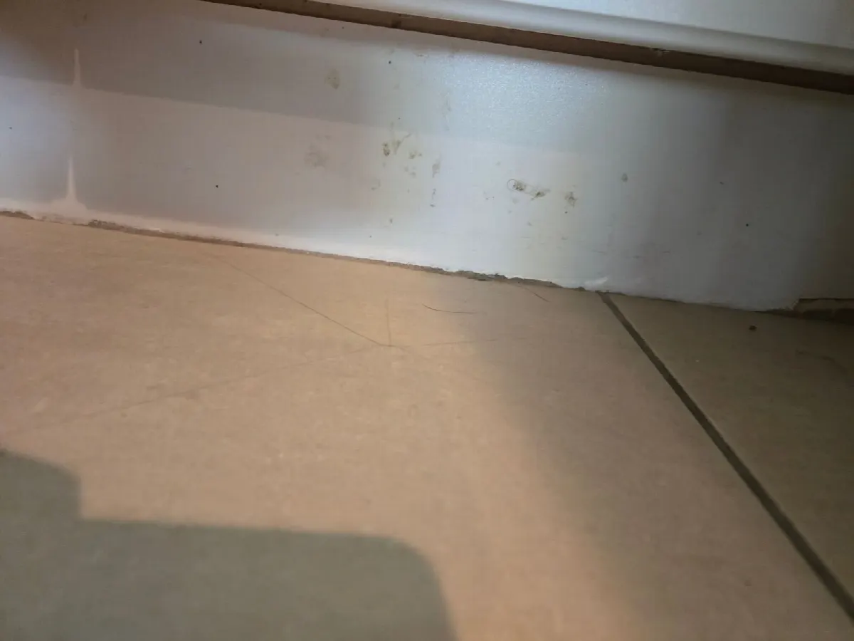 Before — House Cleaning in Sacramento, CA — August 2026