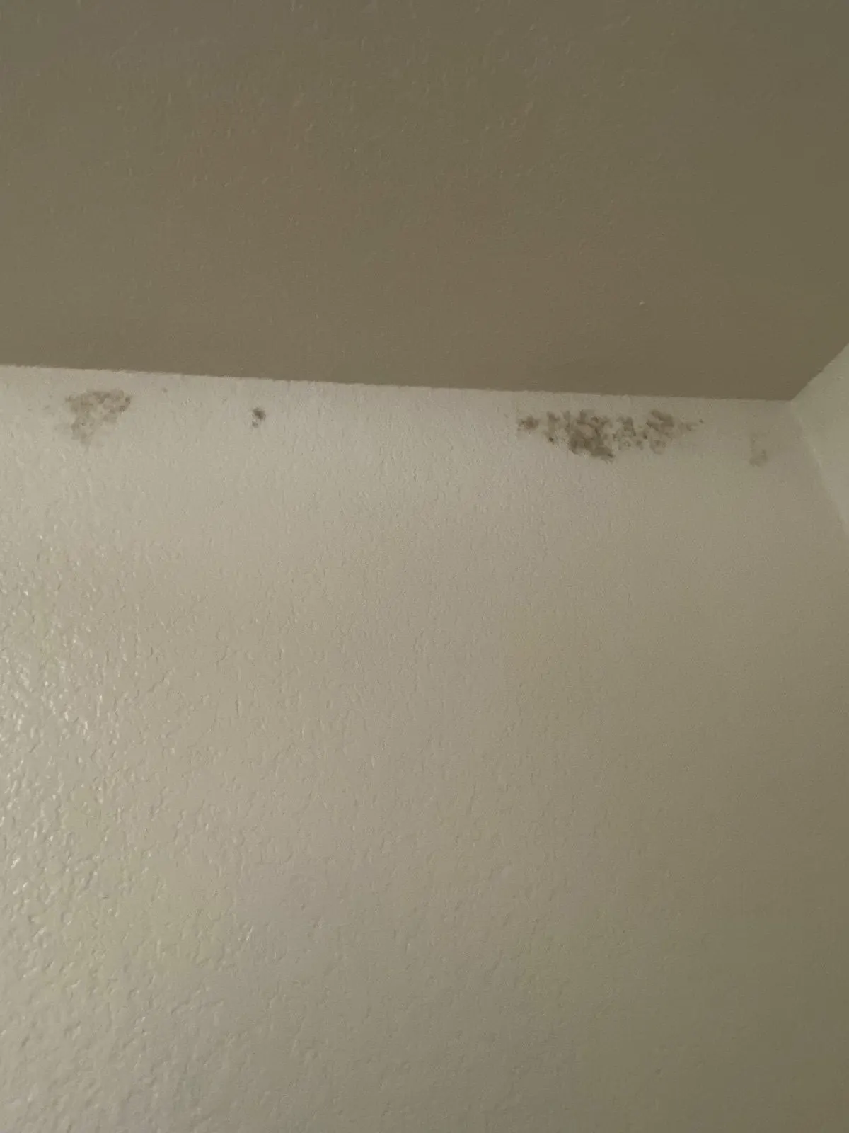 Before — House Cleaning in Davis, CA — August 2026