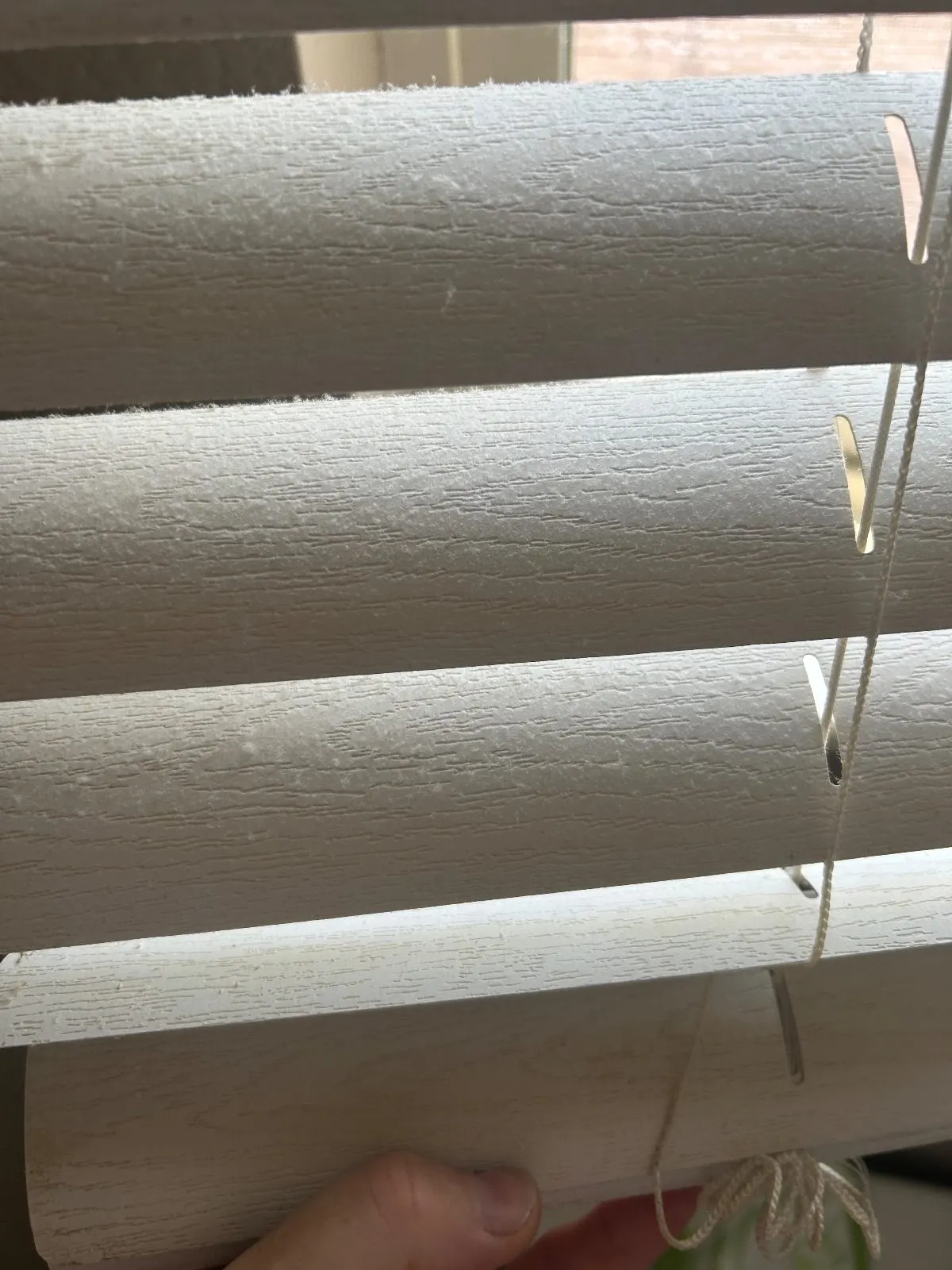 Before — House Cleaning in Lincoln, CA — August 2026