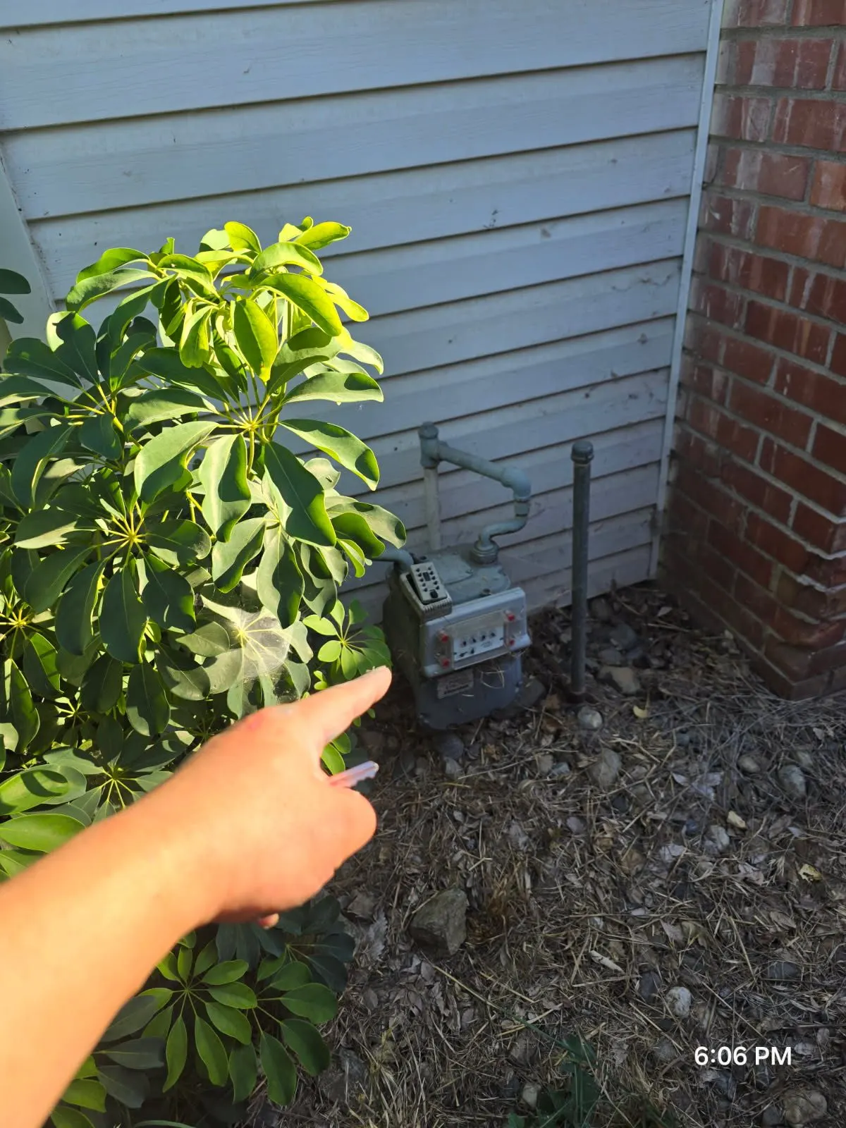 Before — House Cleaning in Rancho Cordova, CA — August 2026