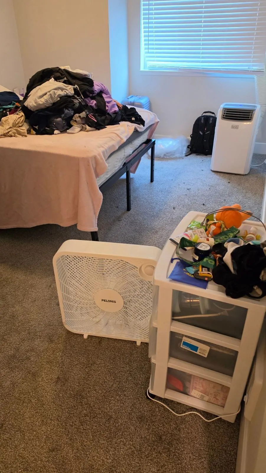 Before — House Cleaning in Vancouver, WA — August 2026