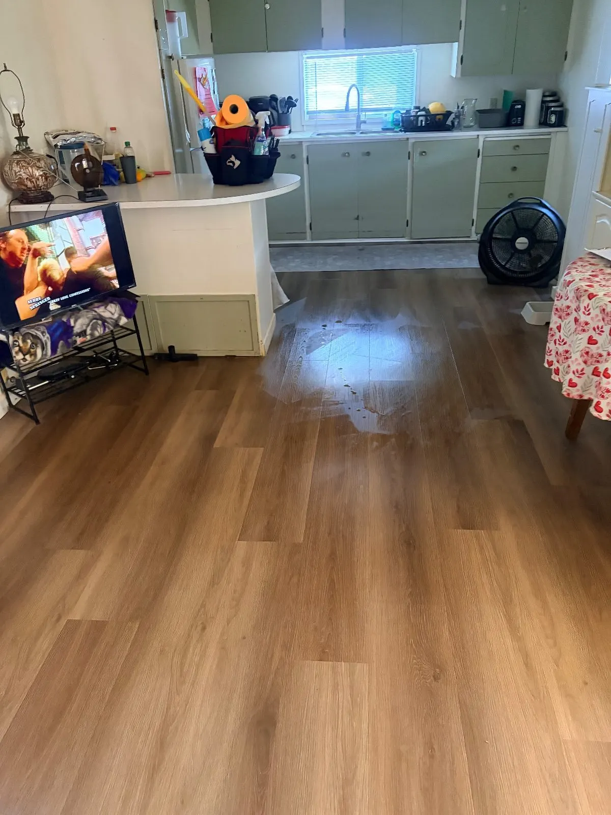 After — House Cleaning in Sacramento, CA — August 2026