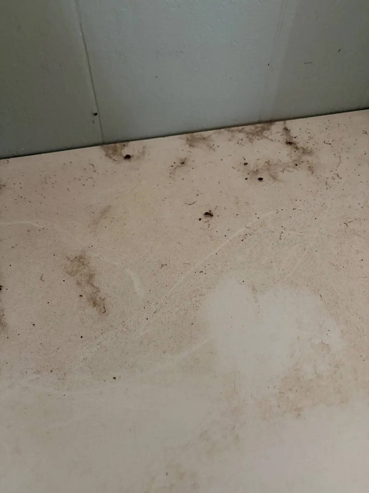 Before — House Cleaning in Sacramento, CA — August 2026