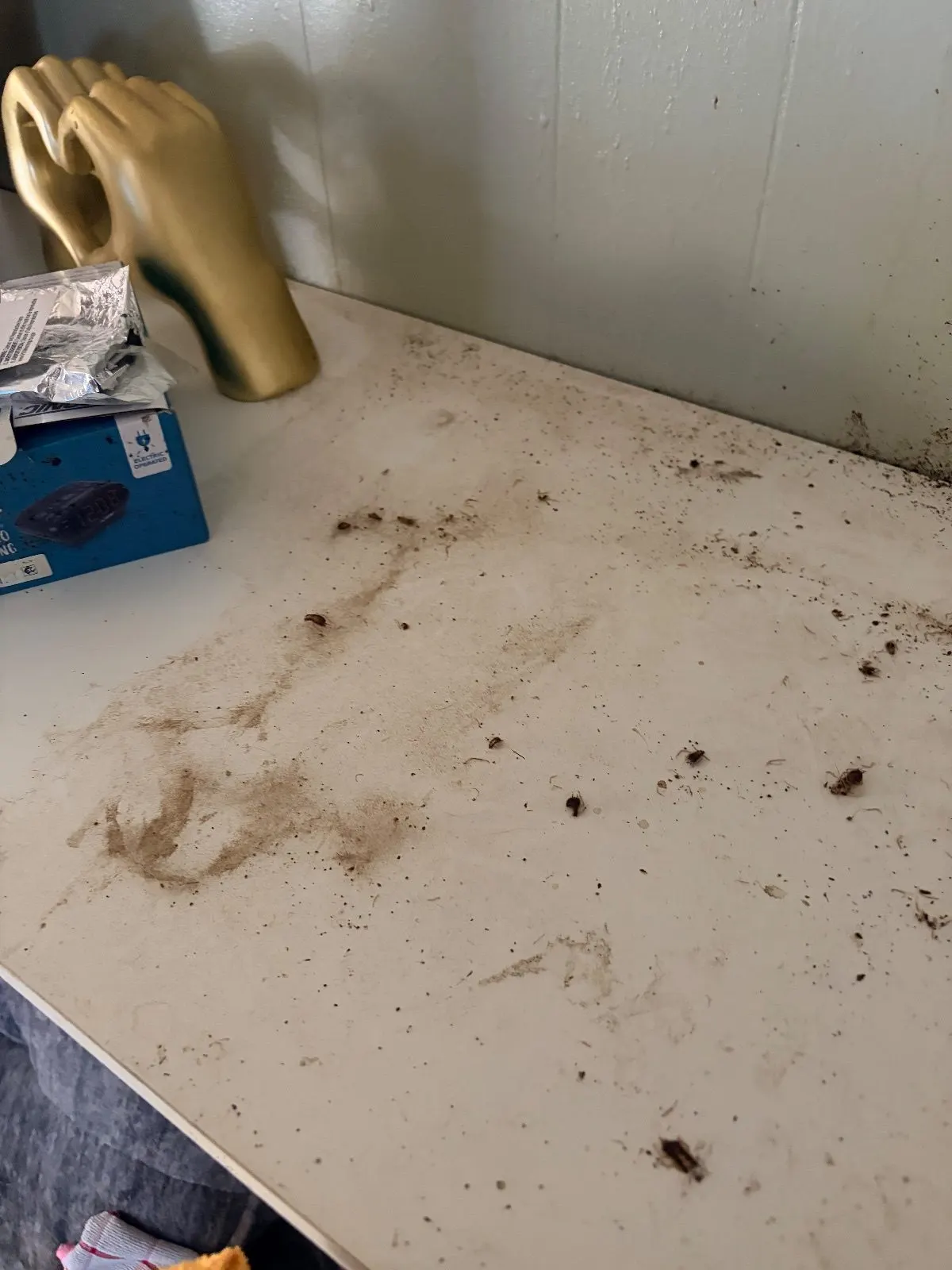 Before — House Cleaning in Sacramento, CA — August 2026