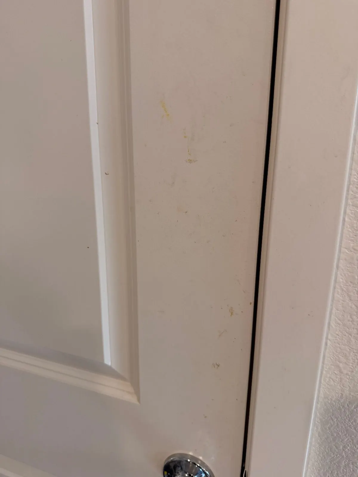 Before — House Cleaning in Sacramento, CA — August 2026