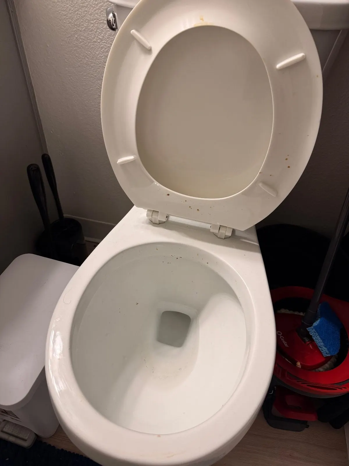 Before — House Cleaning in Sacramento, CA — August 2026