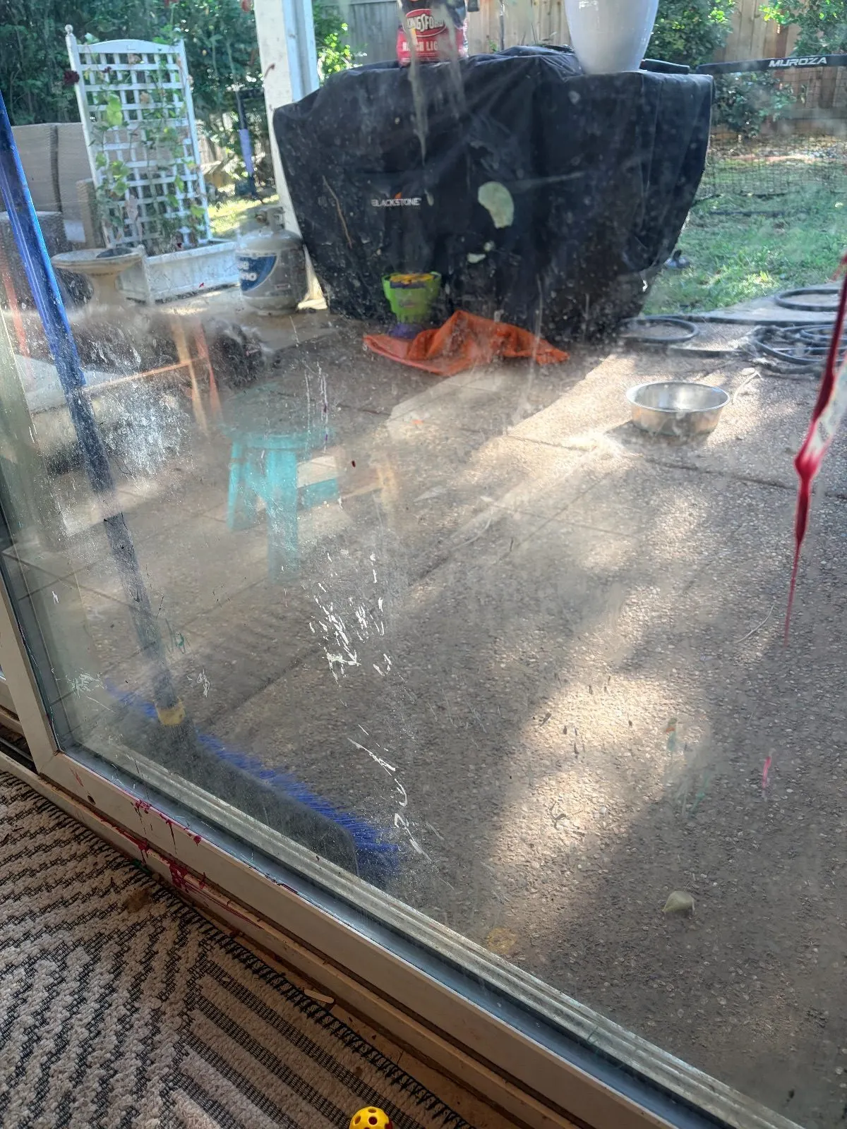 Before — House Cleaning in Rancho Cordova, CA — August 2026