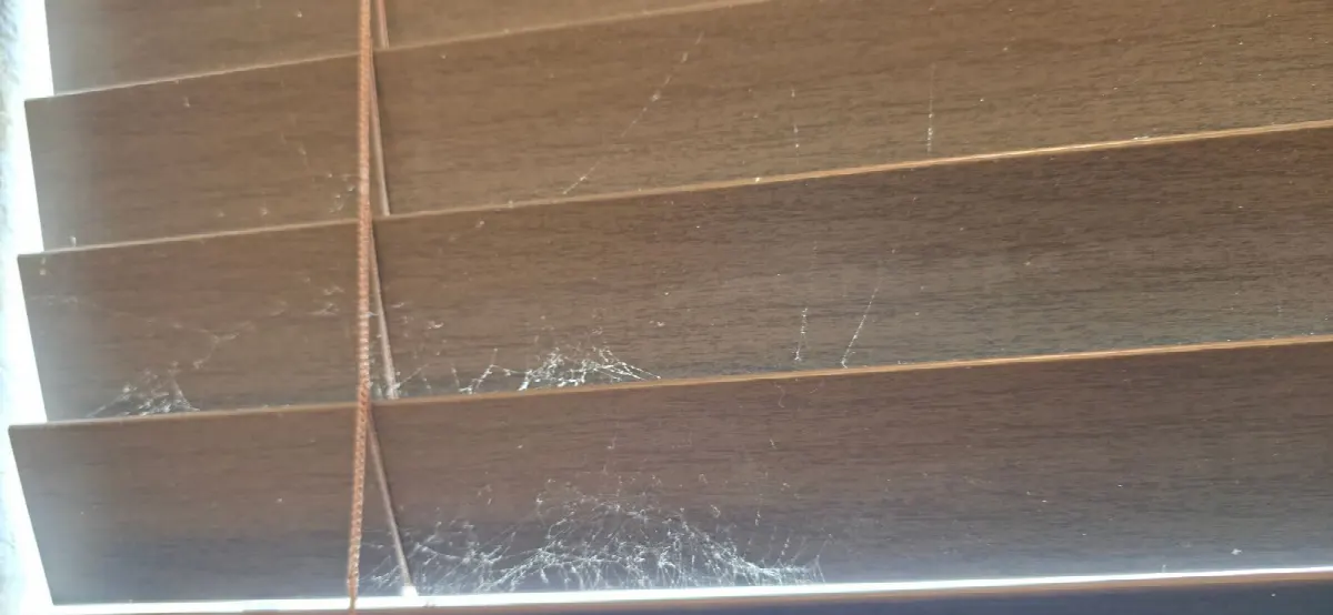 Before — House Cleaning in Rancho Cordova, CA — August 2026