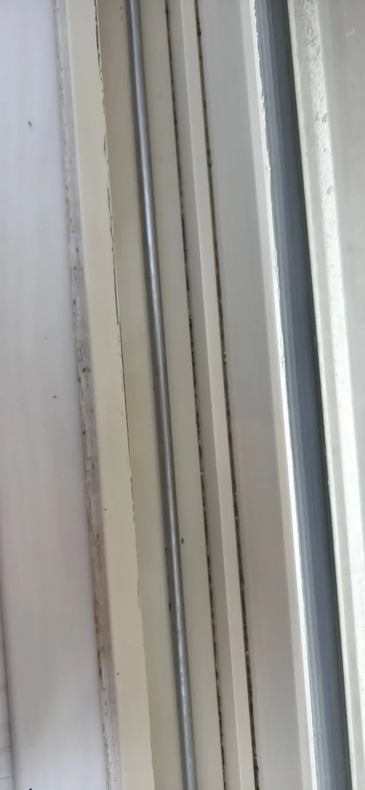 After — House Cleaning in Rancho Cordova, CA — August 2026