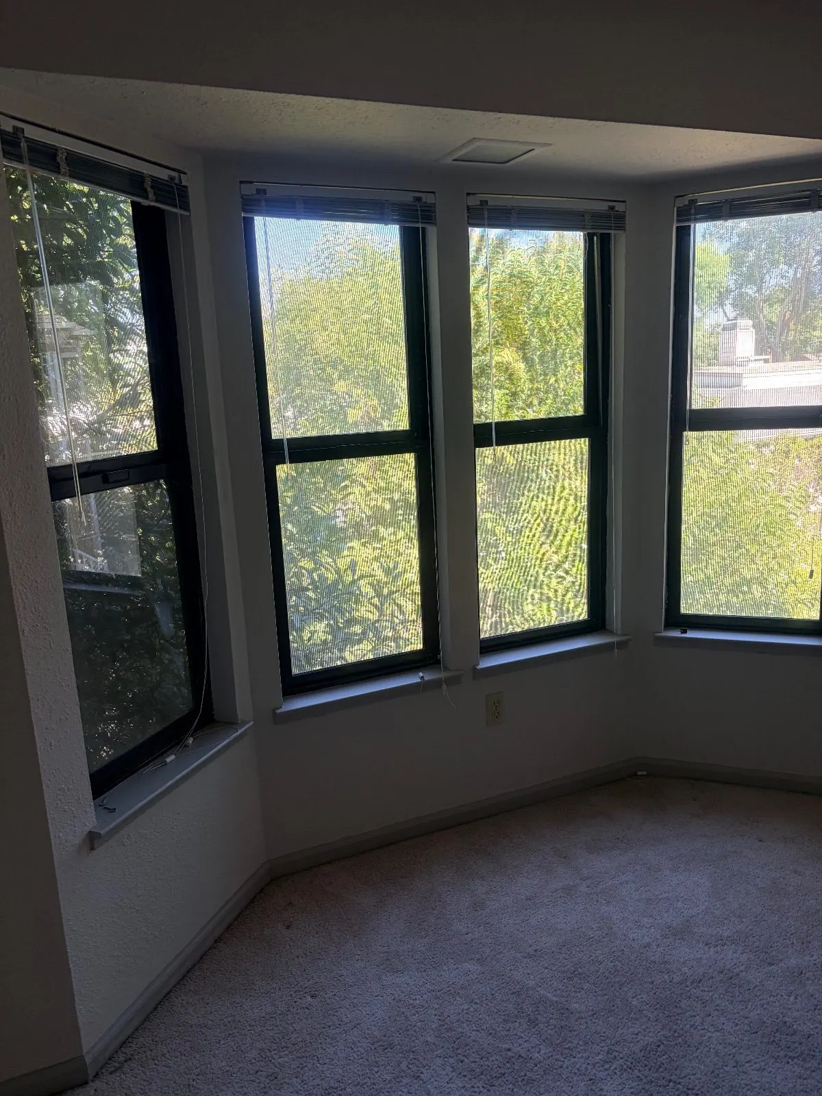 Before — House Cleaning in Davis, CA — August 2026