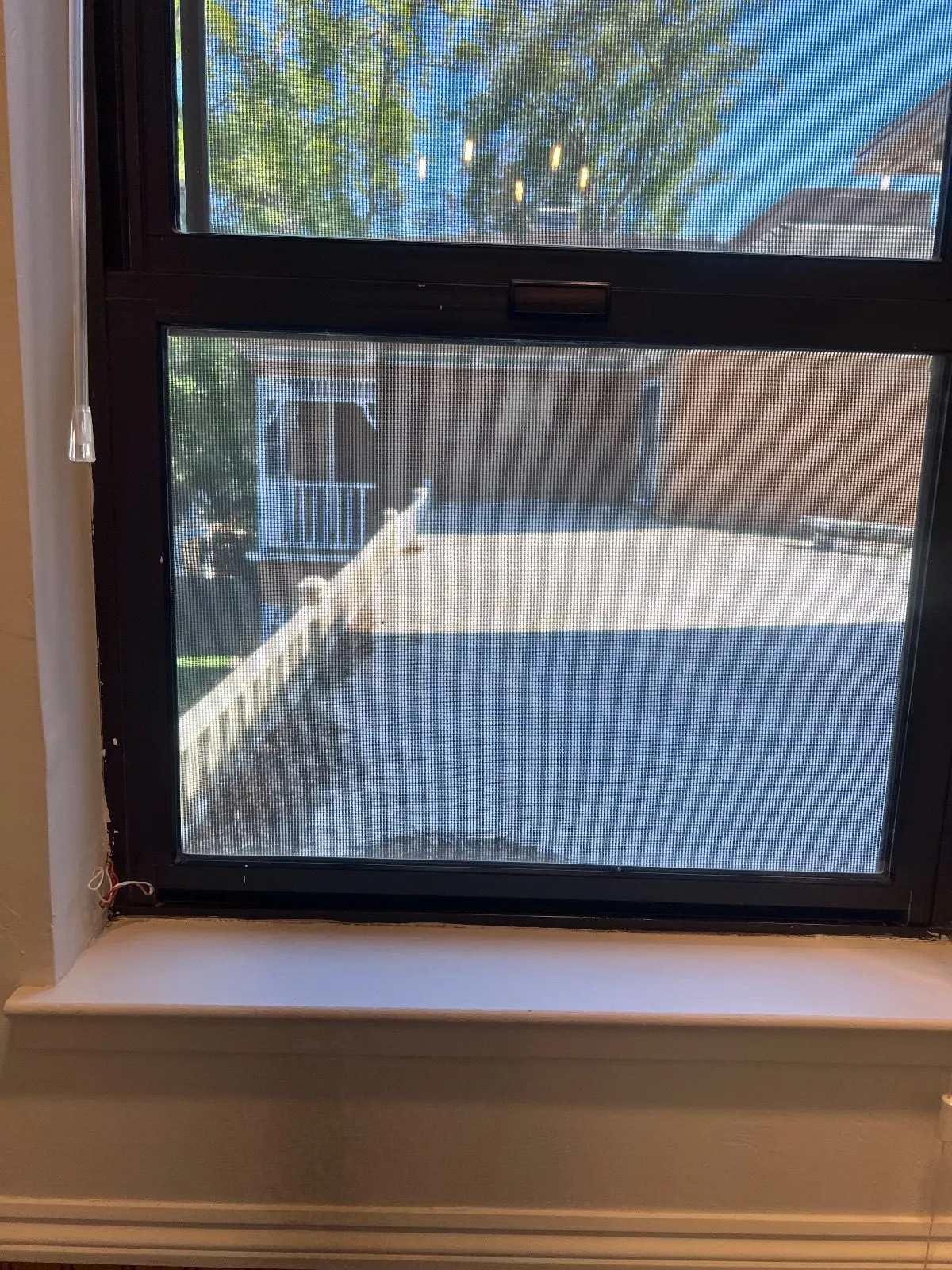 After — House Cleaning in Davis, CA — August 2026