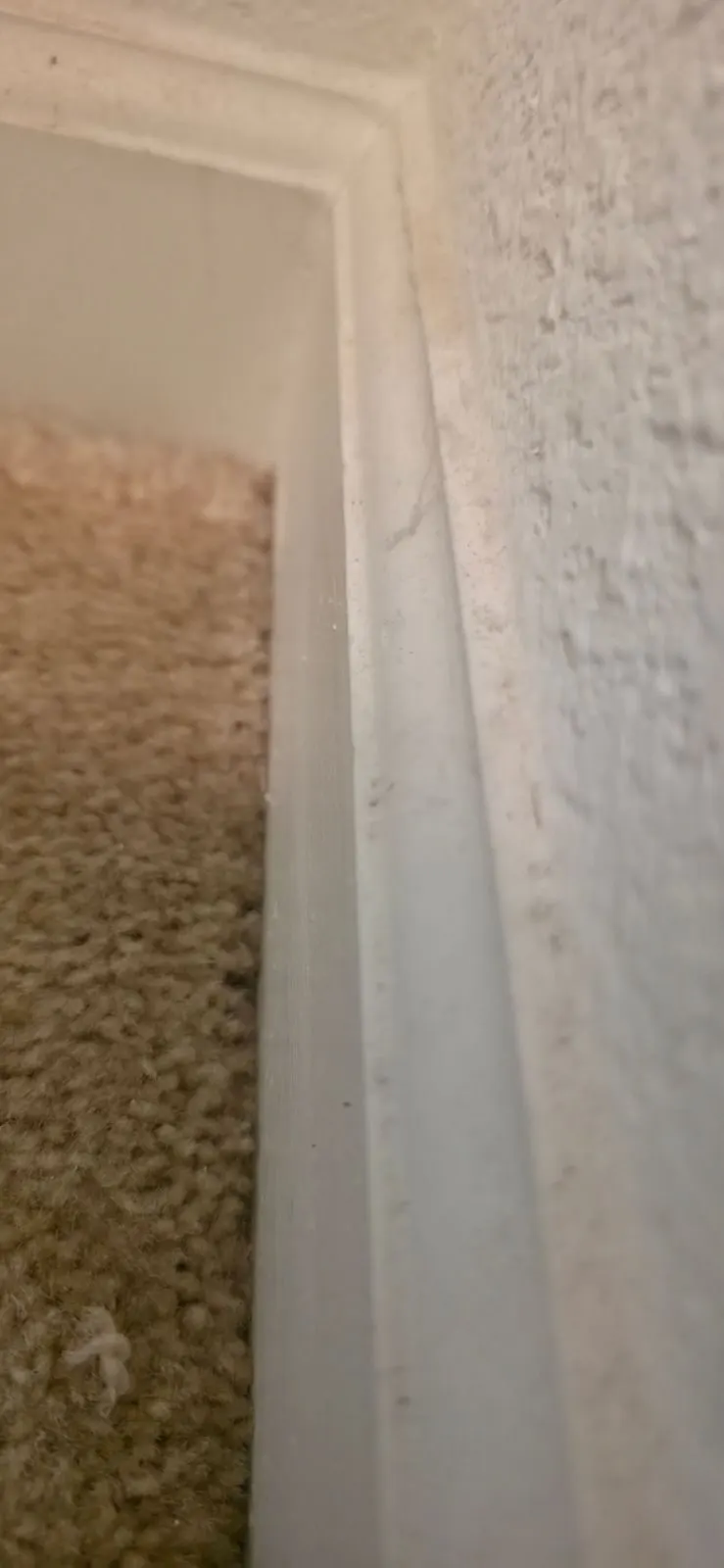 Before — House Cleaning in Folsom, CA — August 2026