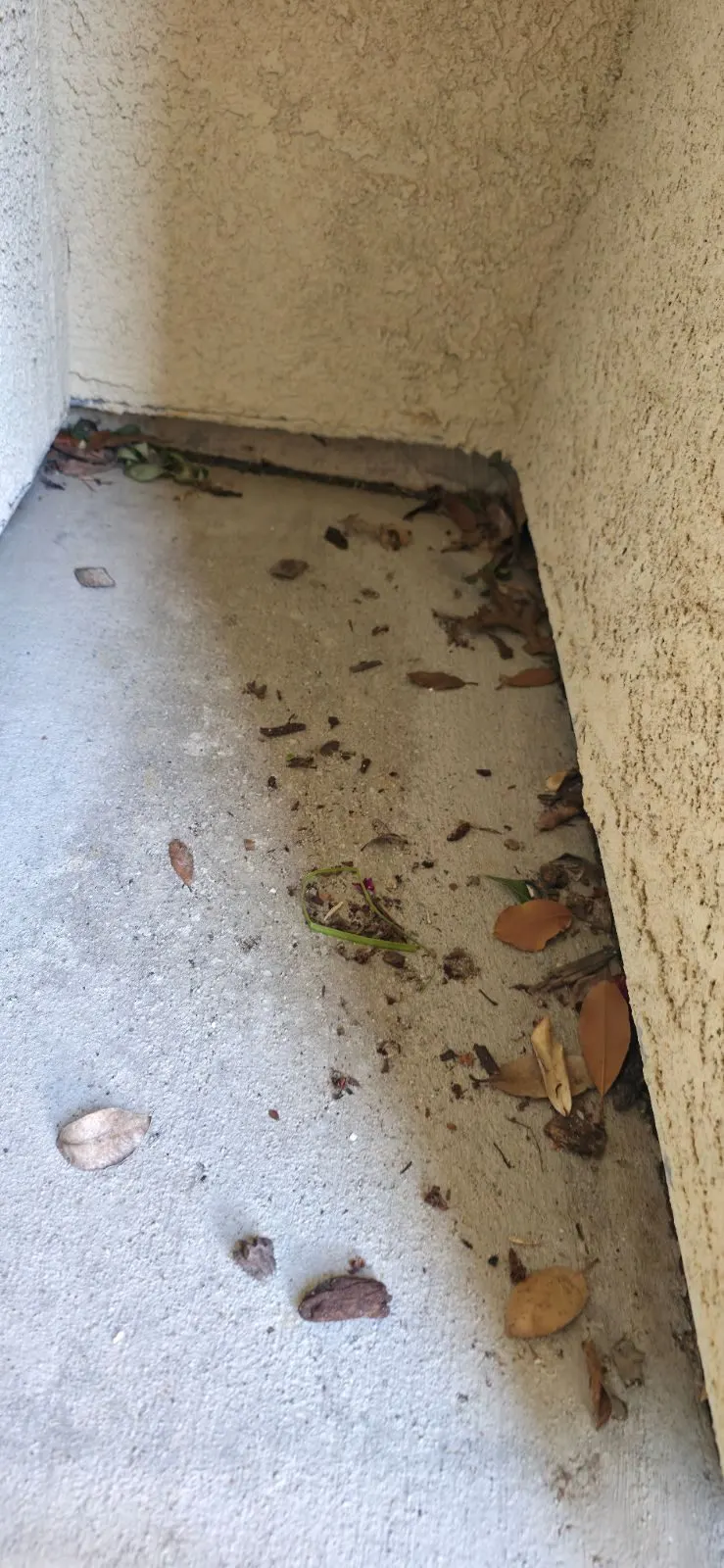Before — House Cleaning in Folsom, CA — August 2026