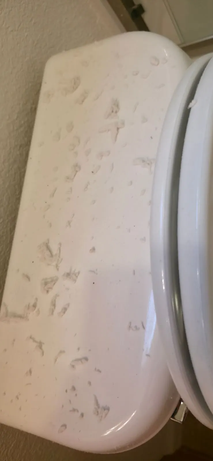 Before — House Cleaning in Folsom, CA — August 2026