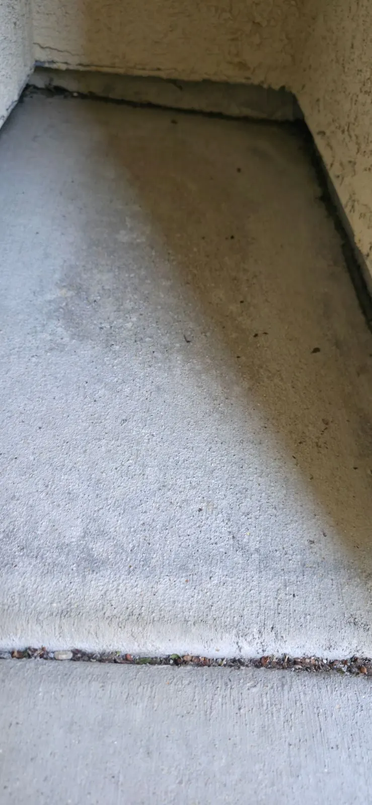 After — House Cleaning in Folsom, CA — August 2026