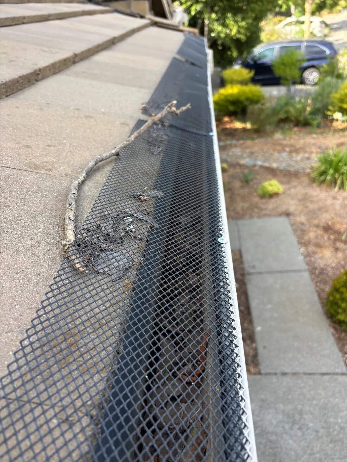 Before — Gutter Cleaning and Maintenance in Davis, CA — July 2026