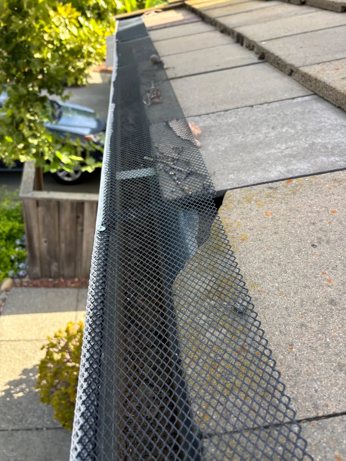 Before — Gutter Cleaning and Maintenance in Davis, CA — July 2026
