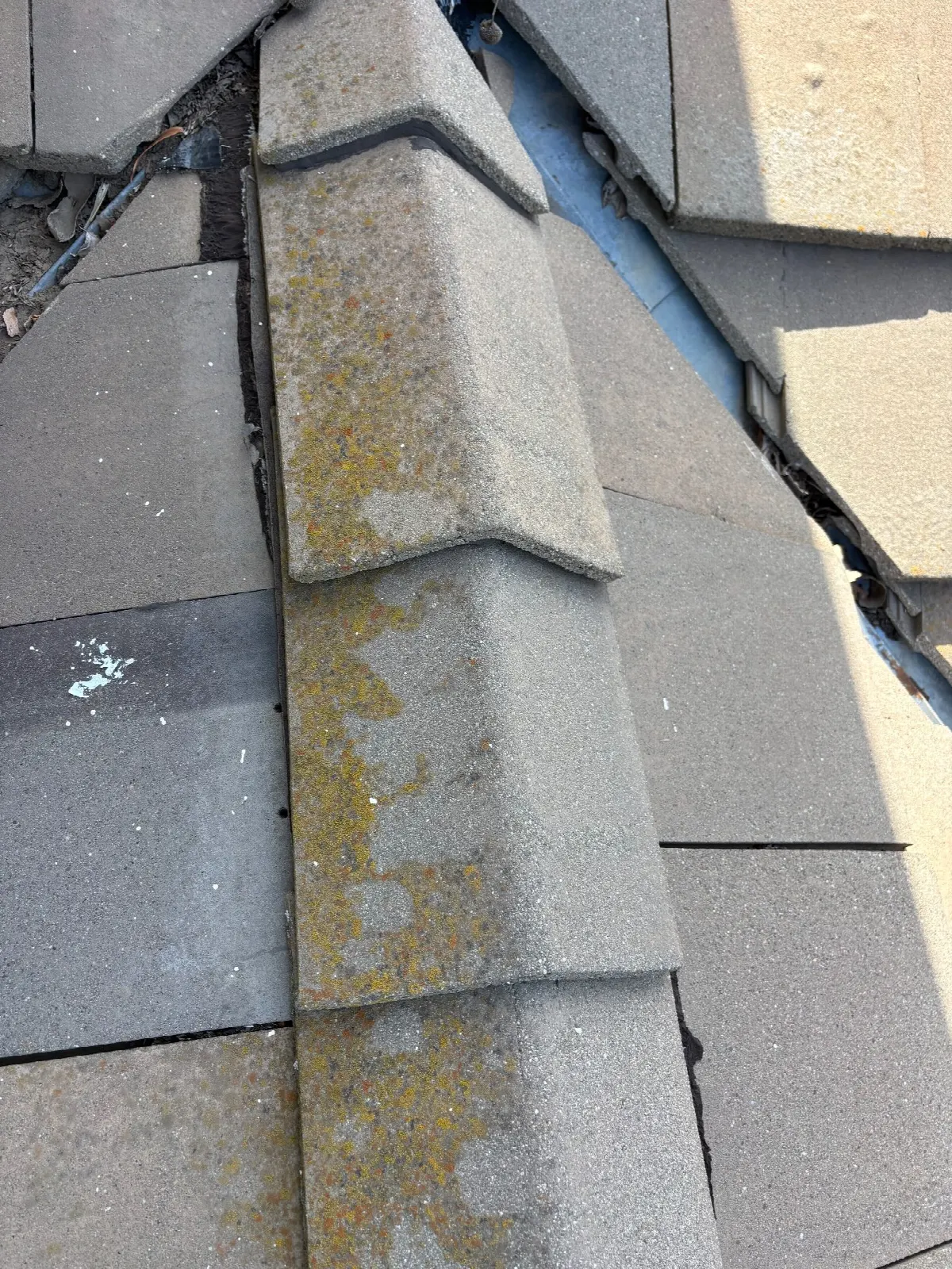 Before — Gutter Cleaning and Maintenance in Davis, CA — July 2026