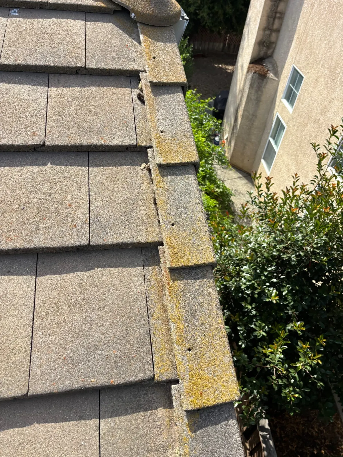 Before — Gutter Cleaning and Maintenance in Davis, CA — July 2026
