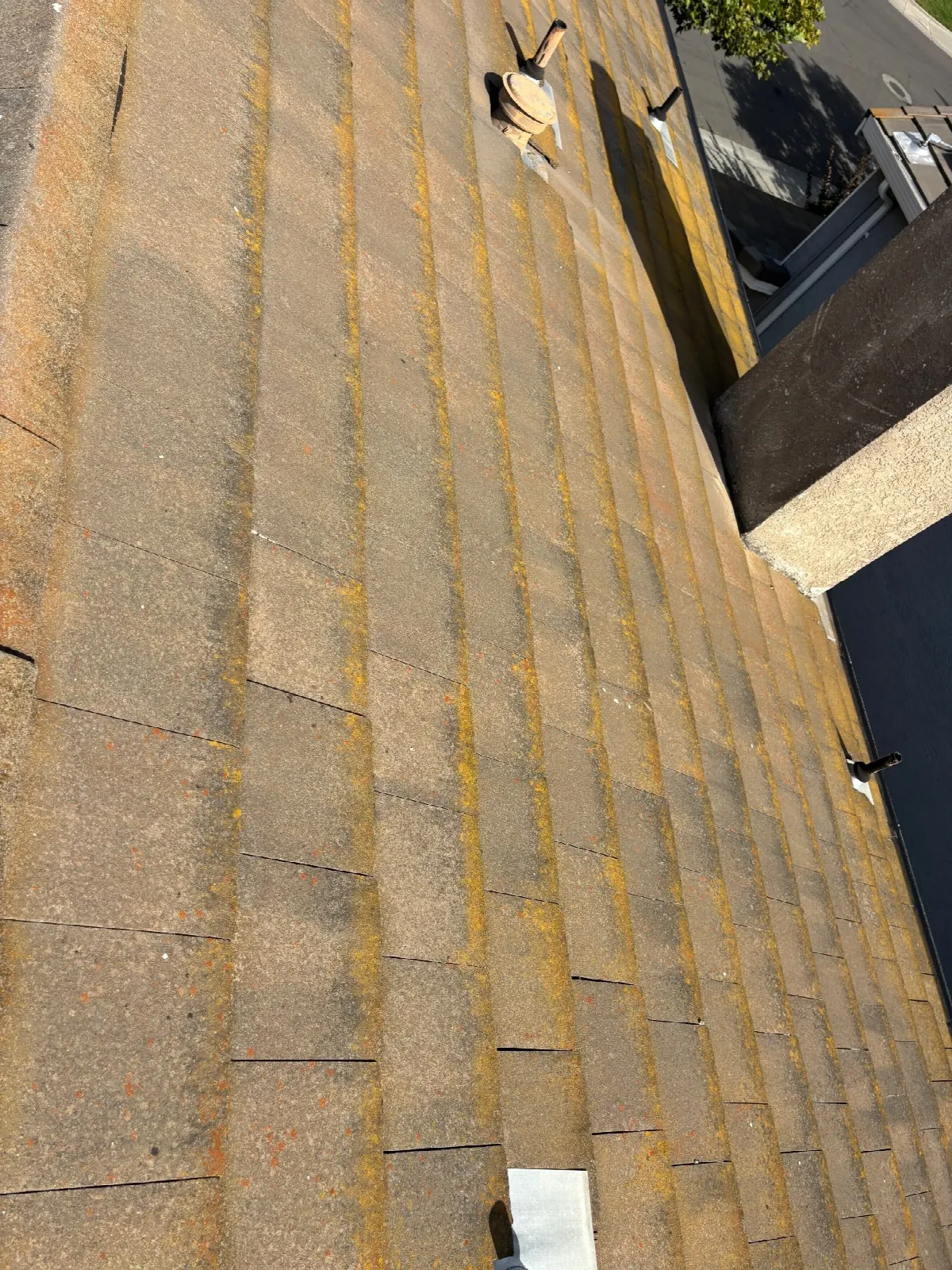 Before — Gutter Cleaning and Maintenance in Davis, CA — July 2026