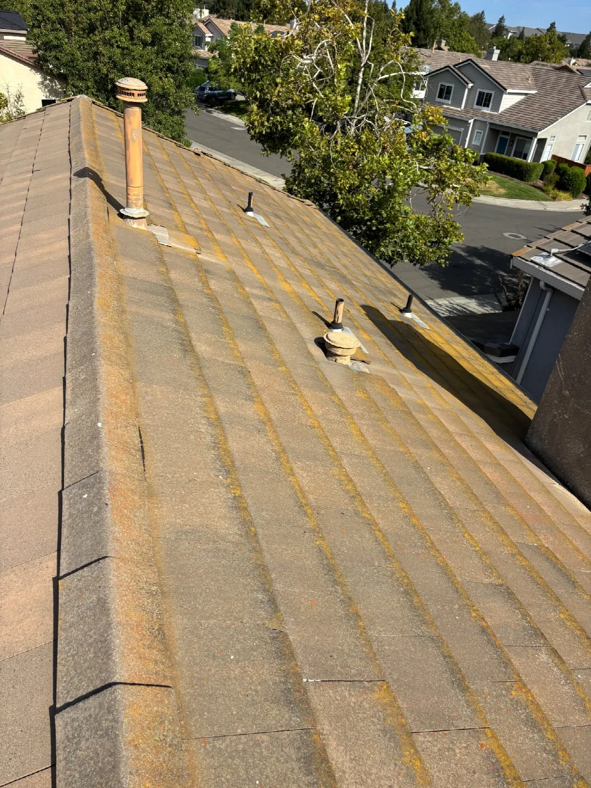 Before — Gutter Cleaning and Maintenance in Davis, CA — July 2026