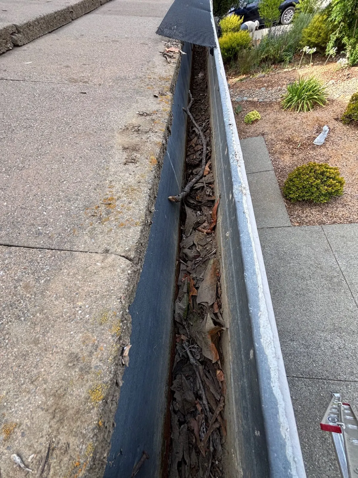 After — Gutter Cleaning and Maintenance in Davis, CA — July 2026