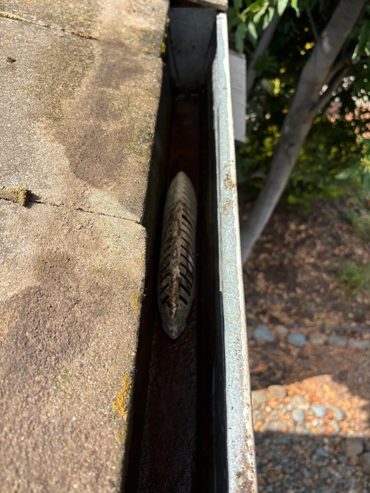After — Gutter Cleaning and Maintenance in Davis, CA — July 2026