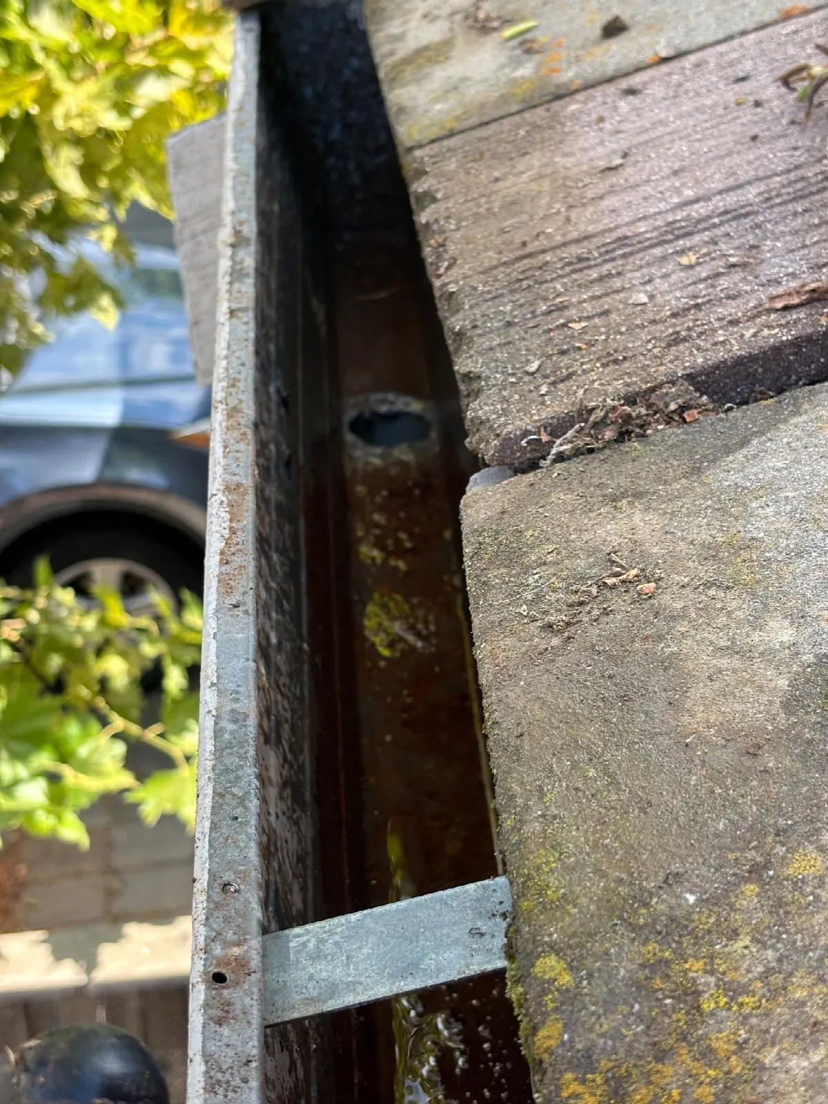 After — Gutter Cleaning and Maintenance in Davis, CA — July 2026
