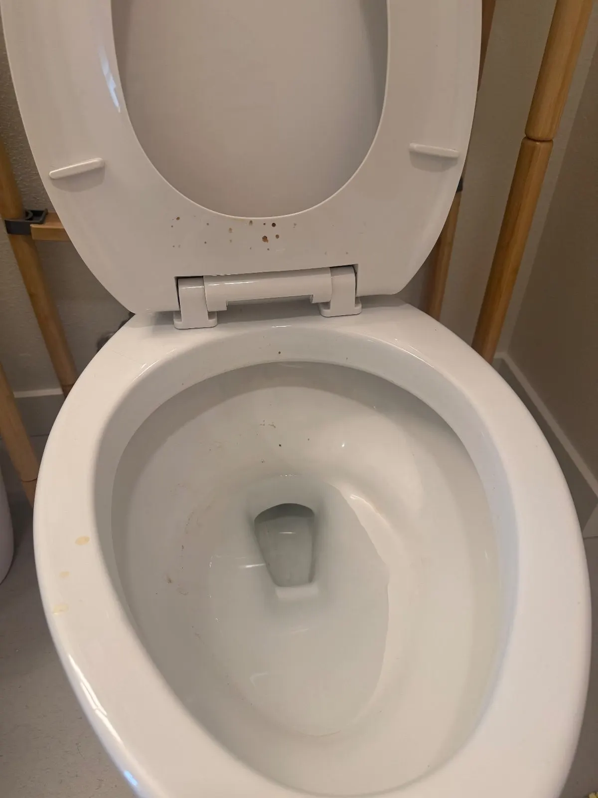 Before — House Cleaning in Portland, OR — August 2026