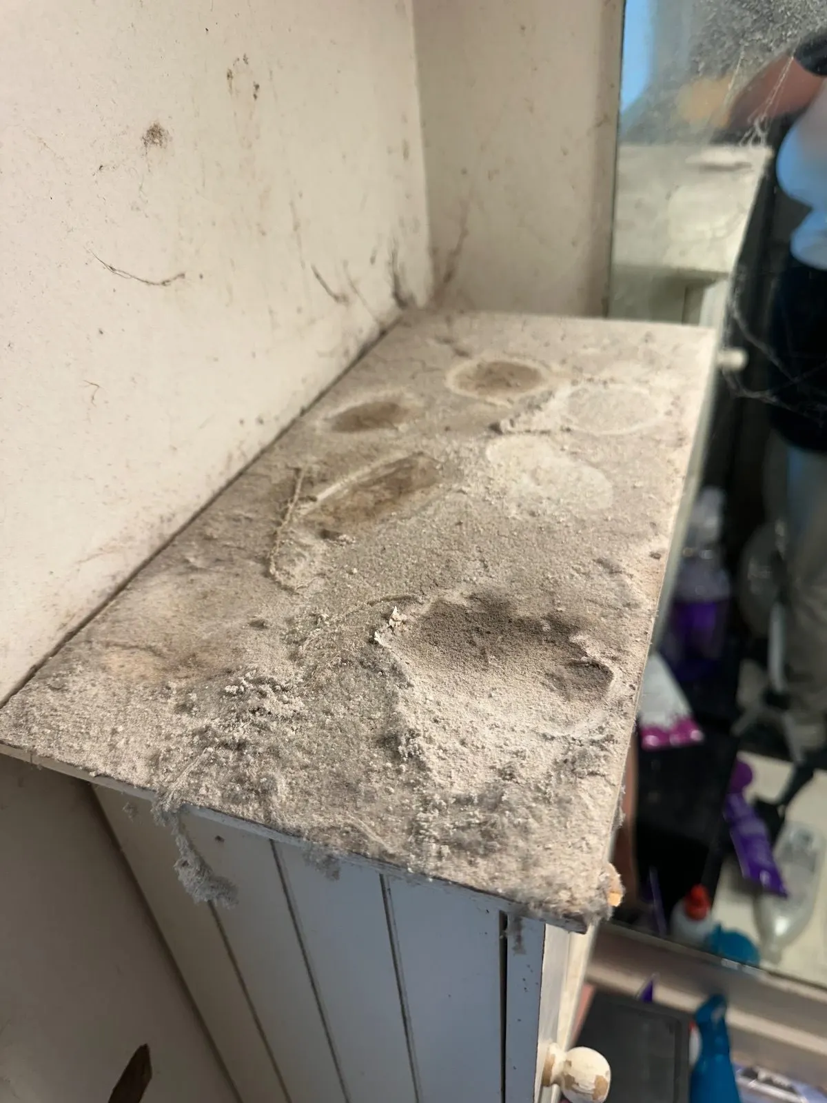Before — House Cleaning in Sacramento, CA — August 2026